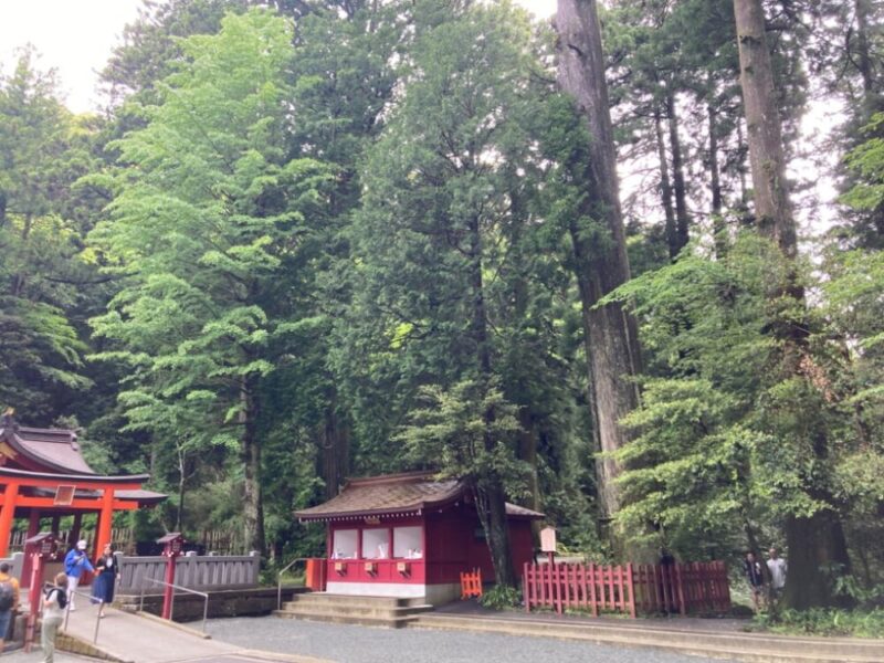 赤い鳥居と森に囲まれた神社