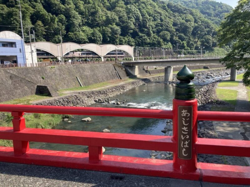 あじさい橋と早川