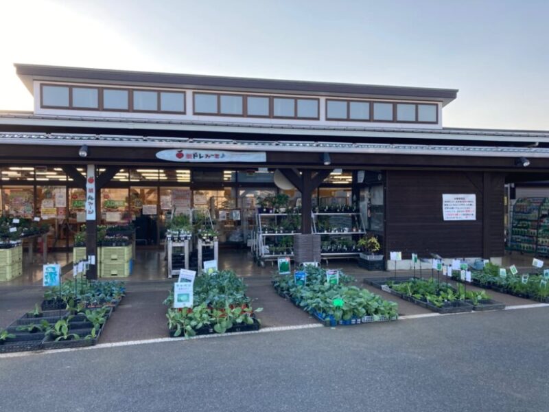 お店の前で苗を売っている様子