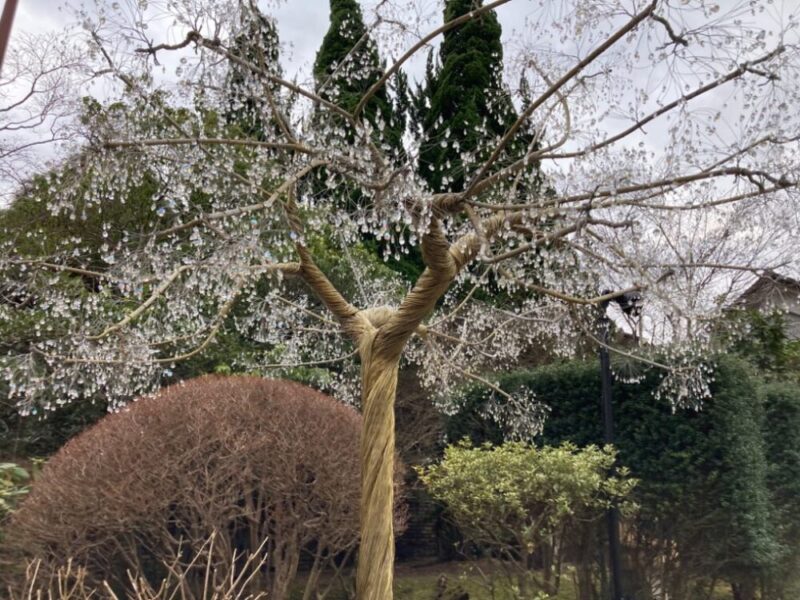 庭に飾られたロープで巻かれた幹と水晶飾りのある木