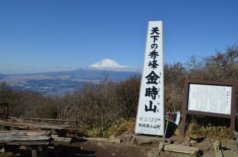 秀峰金時山の山頂からの富士山の眺め