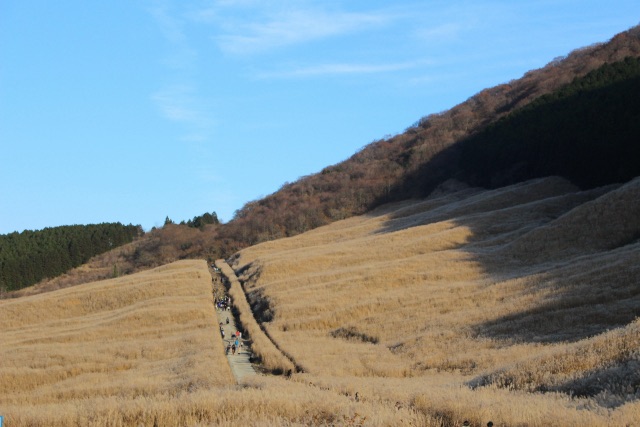 すすき野原の坂道を歩く人々