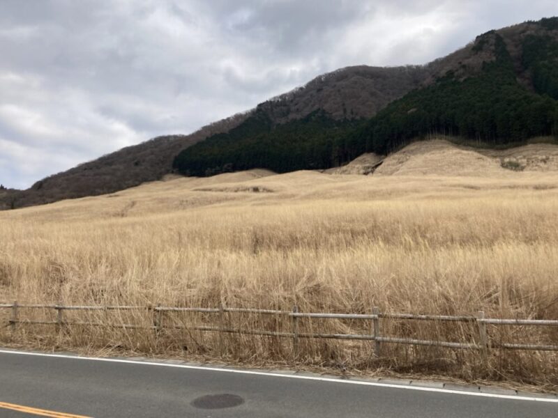 ススキ草原と山並みの風景