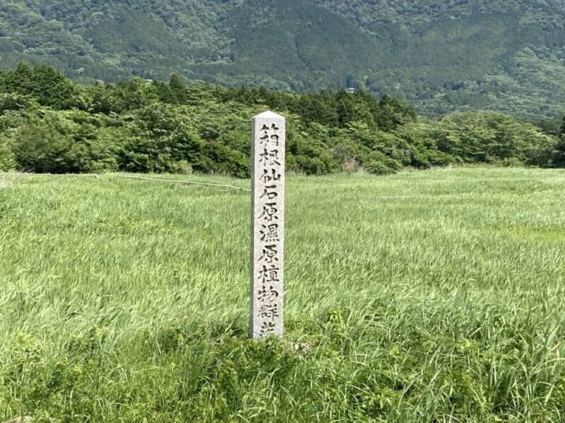 秋の黄金色から冬の静寂、春夏の緑まで一年中魅力あふれる仙石原