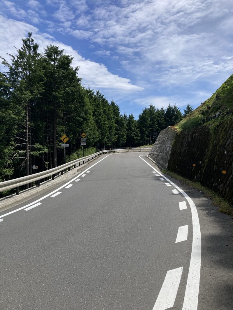 晴れた日に山の中を右カーブするアスファルト道路 左に深い森とガードレール 右に石垣の斜面