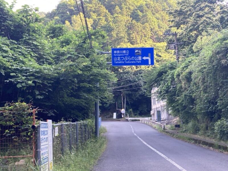 山あいの道にある山北つぶらの公園への青い道路標識と豊かな緑