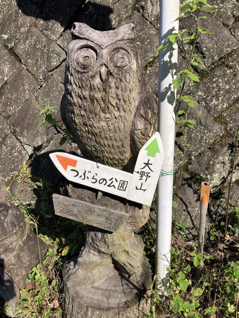 木彫りのフクロウとつぶらの公園と大野山への方向を示す道案内板