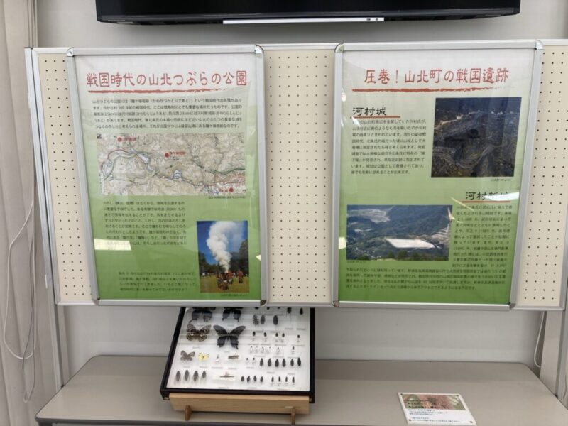 戦国時代の遺跡を紹介するポスター2枚と昆虫標本が展示された様子