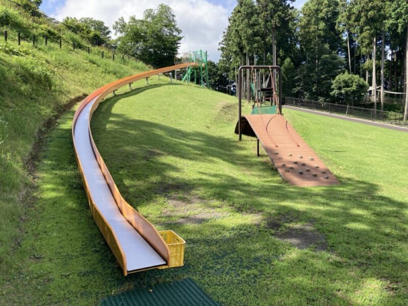 緑の公園の丘にある長いローラーすべり台と木の登り壁