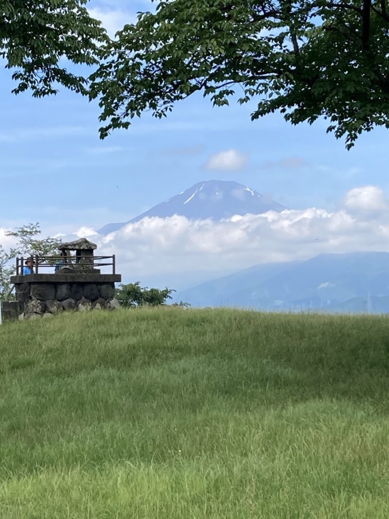 石灯籠のある緑の丘から望む富士山
