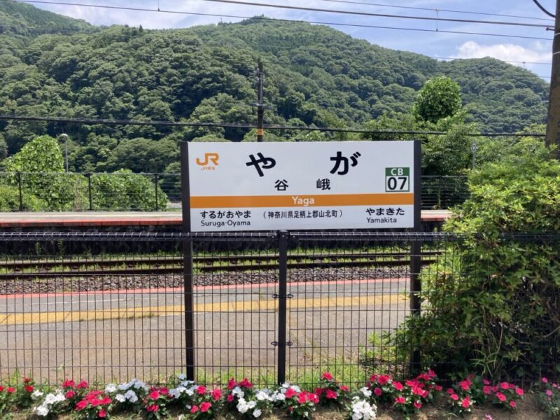 JR谷峨駅の駅名標手前には赤白の花背景には緑の山々