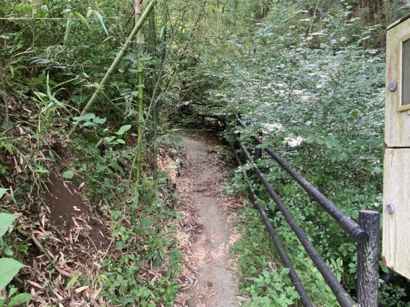 山の小道、左には竹やぶが広がり右側には手すりが設置されている様子