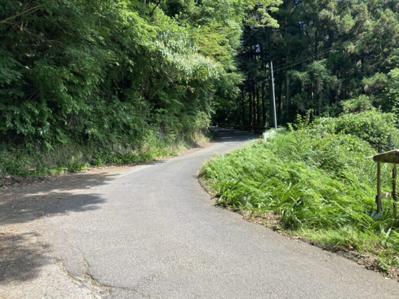 緑深い山道のカーブ