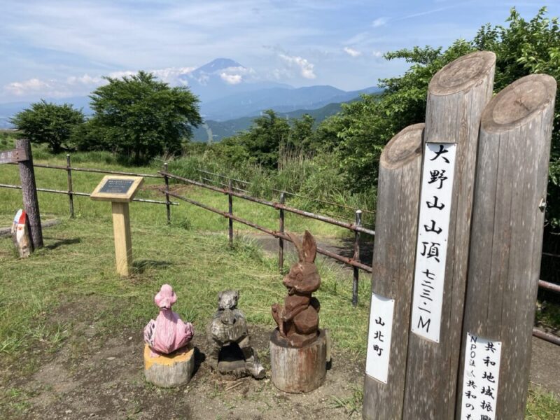 大野山山頂にあるウサギとカエルの木彫り、遠くに富士山が見える風景