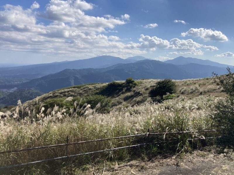 草原に立つススキと遠くの山々