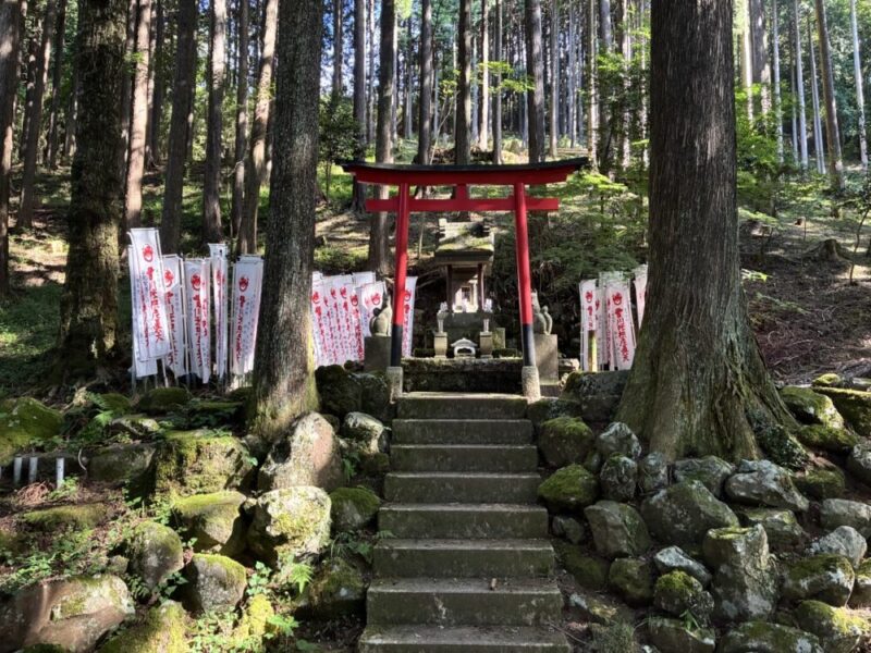 森の中にある赤い鳥居と石段、旗が並ぶ風景