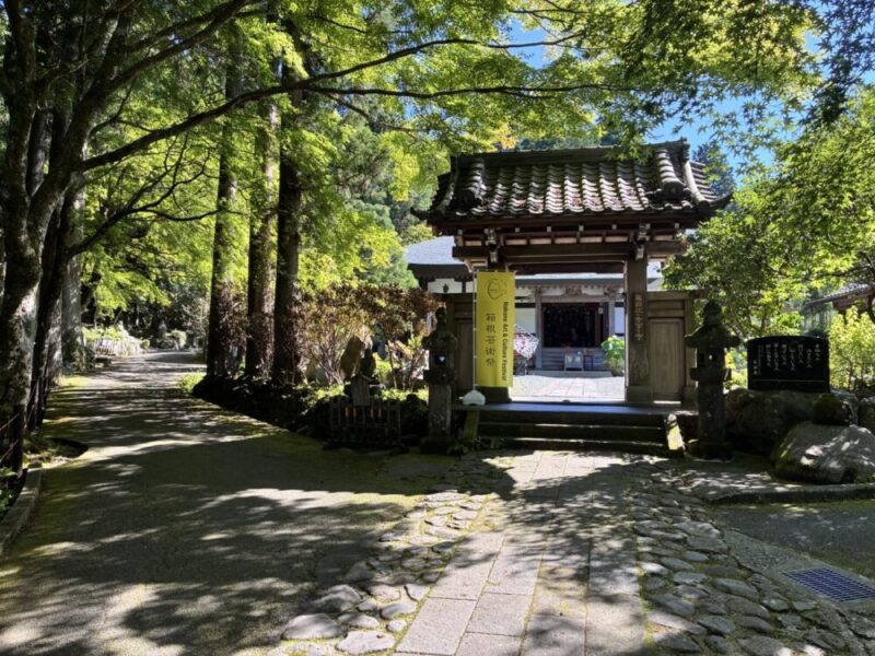 木々に囲まれたお寺の入り口