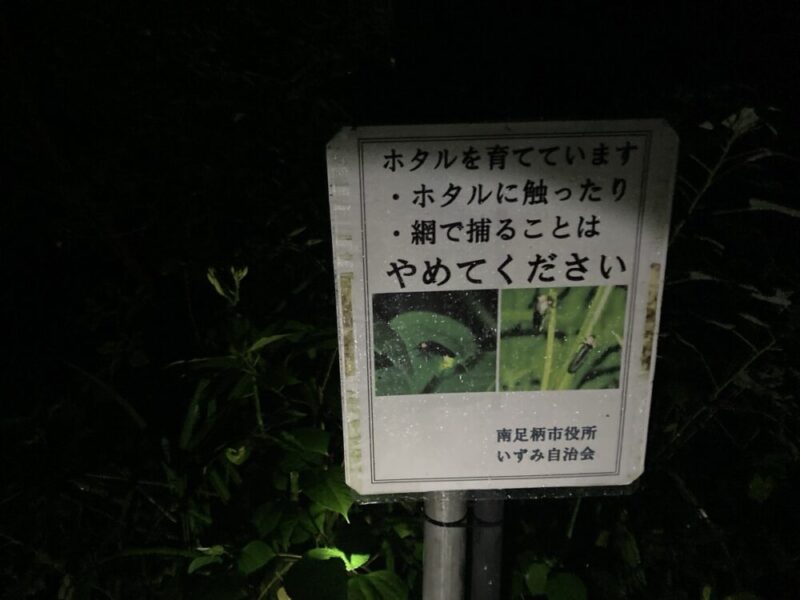 ホタルを大切にするための看板と、ホタルの写真