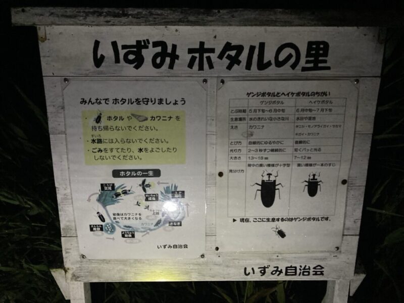 ゲンジボタルとヘイケボタルの違いについての説明がある看板