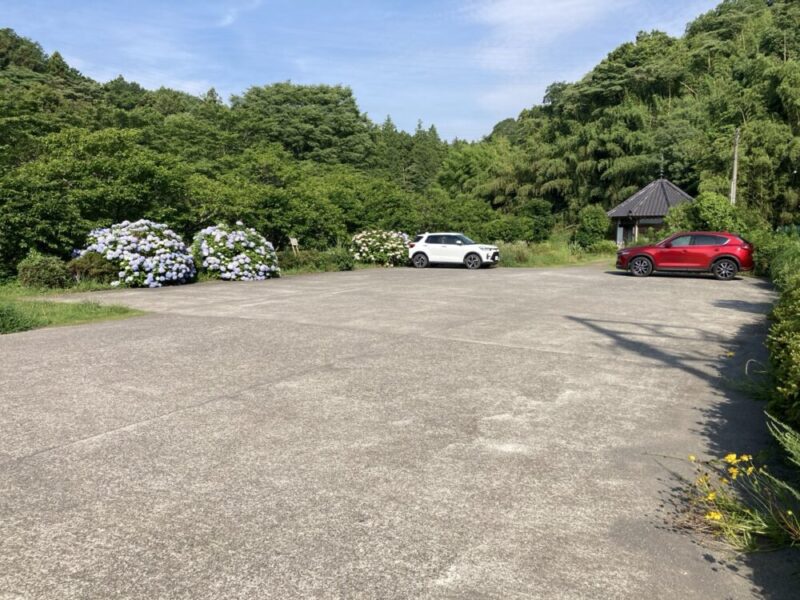 青い紫陽花と白い紫陽花が咲く緑豊かな場所にある駐車場に、白い車と赤い車が止まっている様子