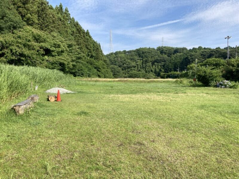 手前に広がる芝生の広場と、その奥の緑の山々、青い空と白い雲が写っている