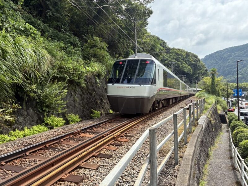 緑豊かな風景の中を走る白いロマンスカーEXEα