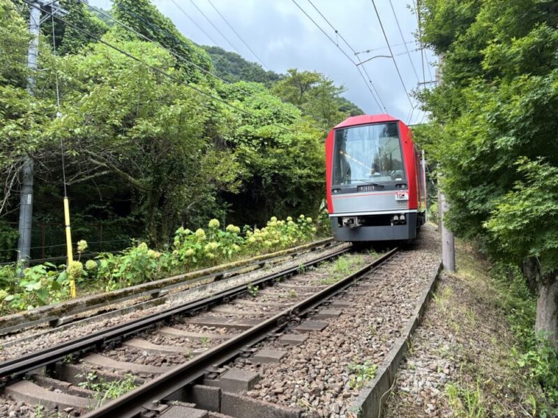 緑に囲まれた線路を走る赤い列車