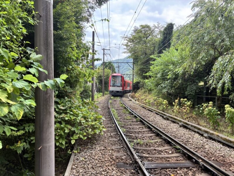 山の中を走る赤い電車