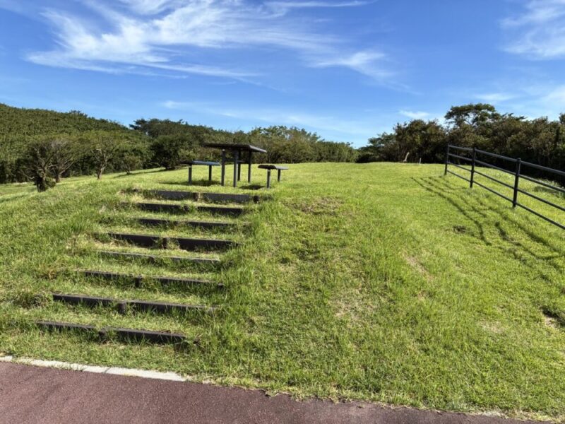 芝生の丘にある階段と屋根付きピクニックテーブル 青空と木々