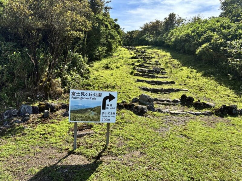 富士見ヶ丘公園への上り坂を示す案内板が立つ緑の草と石の階段が続く道