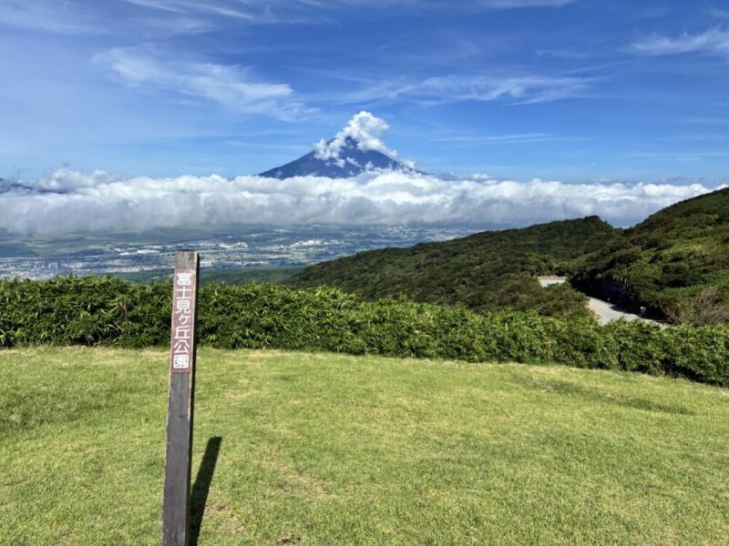 富士見ヶ丘公園の標識がある緑の丘から雲に囲まれた富士山と街並みを見下ろす景色