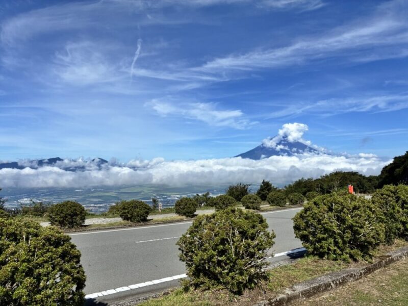 青い空の下白い雲に覆われた富士山と手前に道路と緑の低木が見える景色