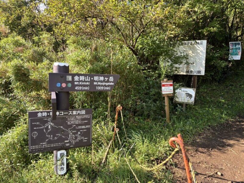 登山道の案内看板