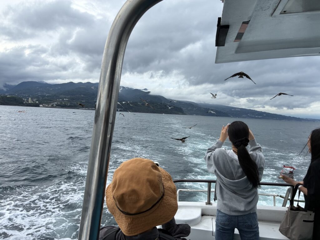 観光船の上で海と山を背景にたくさんの鳥が空を飛ぶ景色を見上げる人々