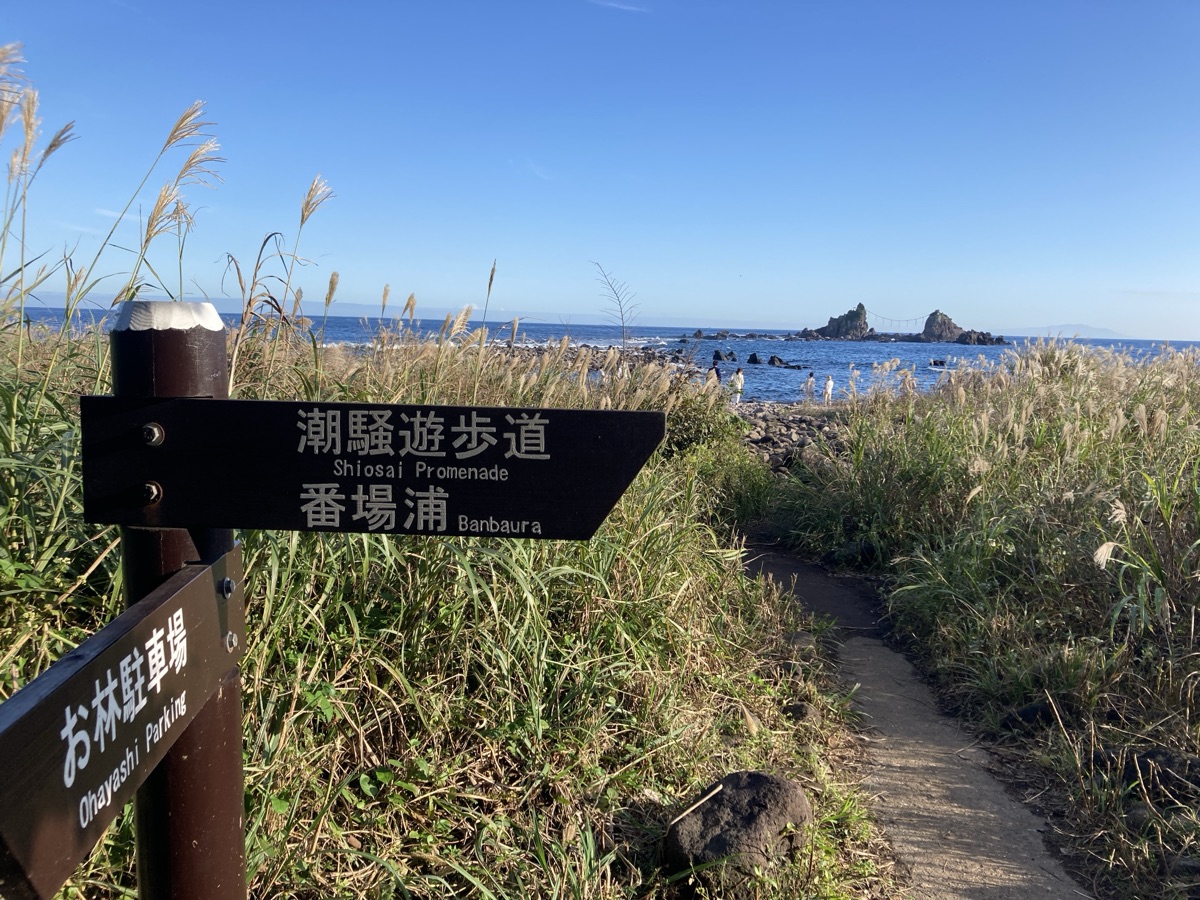 真鶴半島の豊かな海と原生林