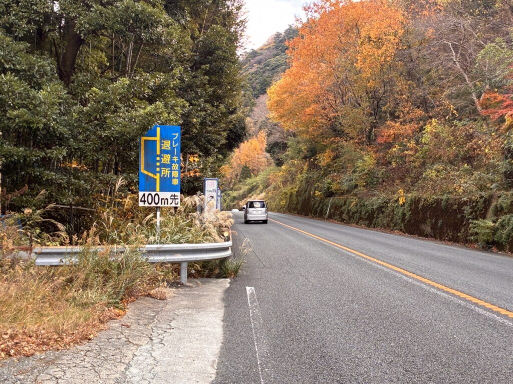 箱根新道の下り坂ワインディングロード風景