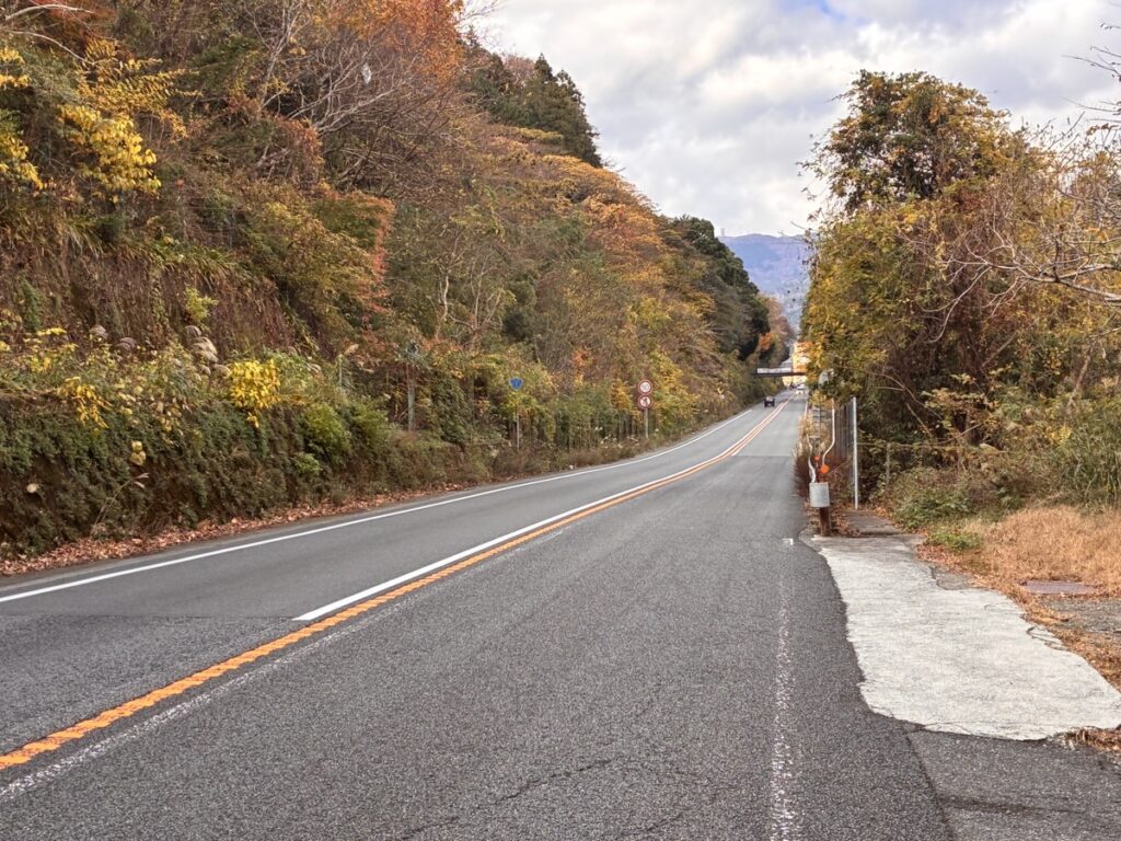 紅葉に囲まれた山道の舗装路が遠くまで伸びる