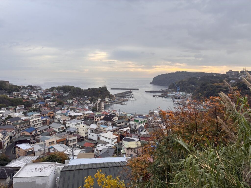 住宅が密集する湾岸の港と海