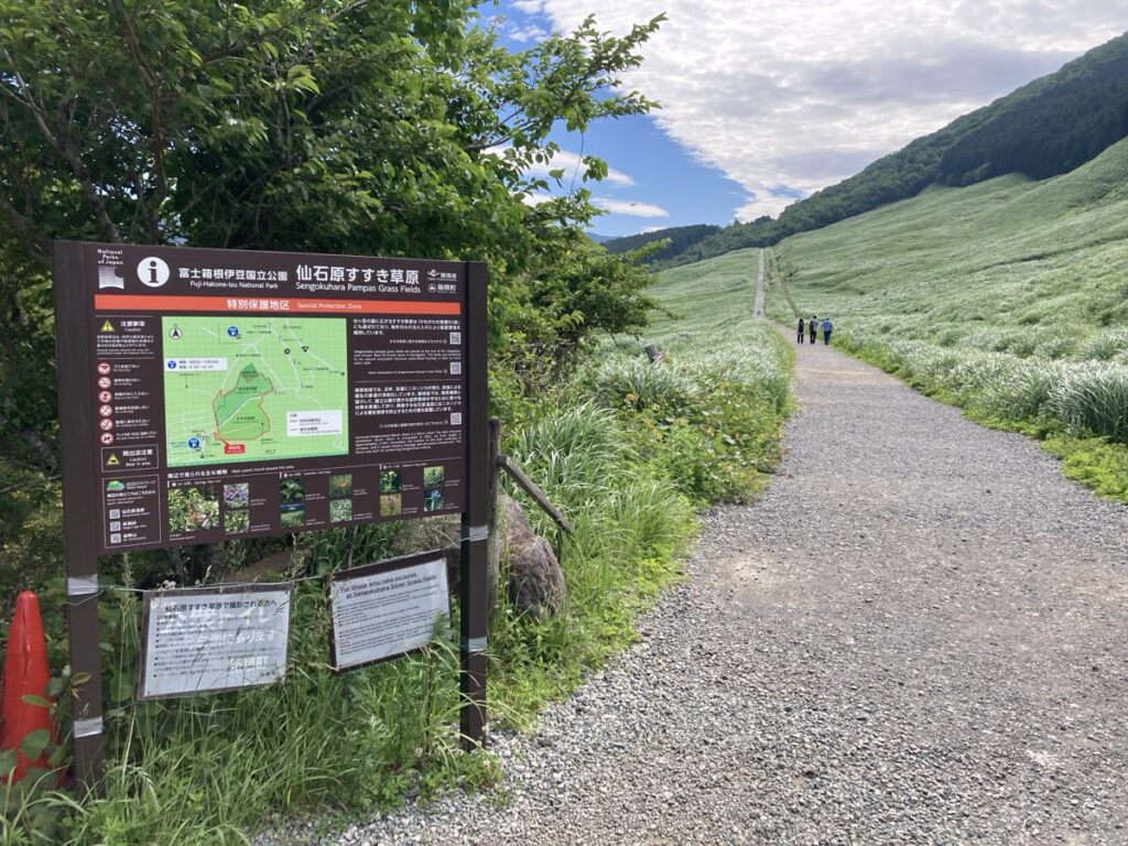 仙石原の大自然と山並みのパノラマ