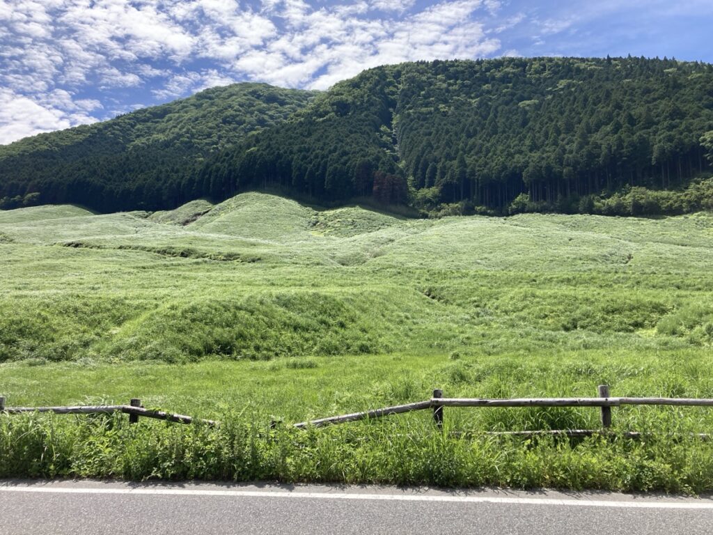 仙石原すすき草原周辺の駐車場マップと選び方