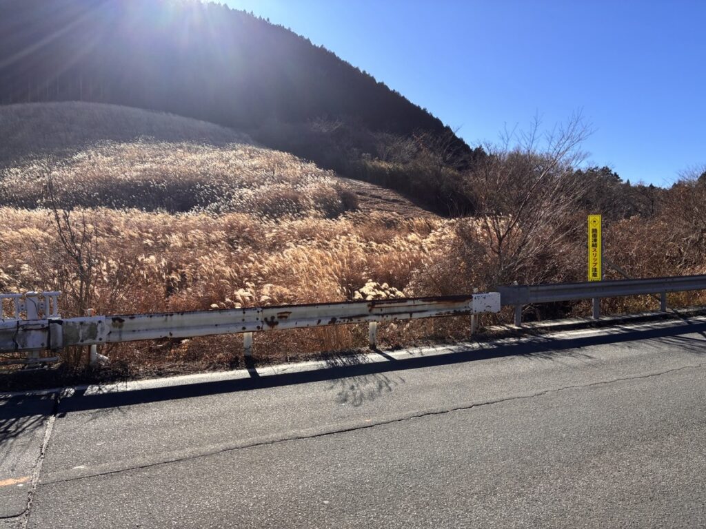 冬の静寂な仙石原すすき草原と青空