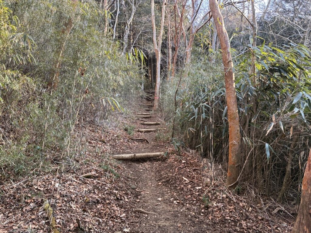 枯葉の積もる森の中の山道に丸太の階段が続く