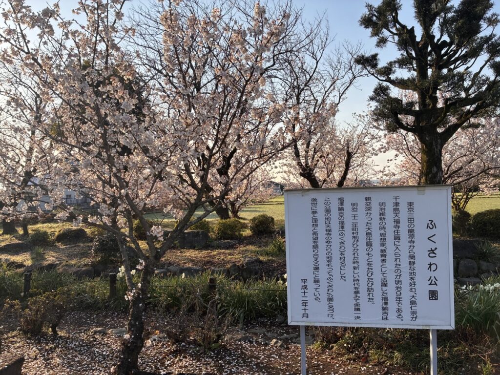 のどかな田園風景が広がるふくざわ公園の春めき桜と菜の花