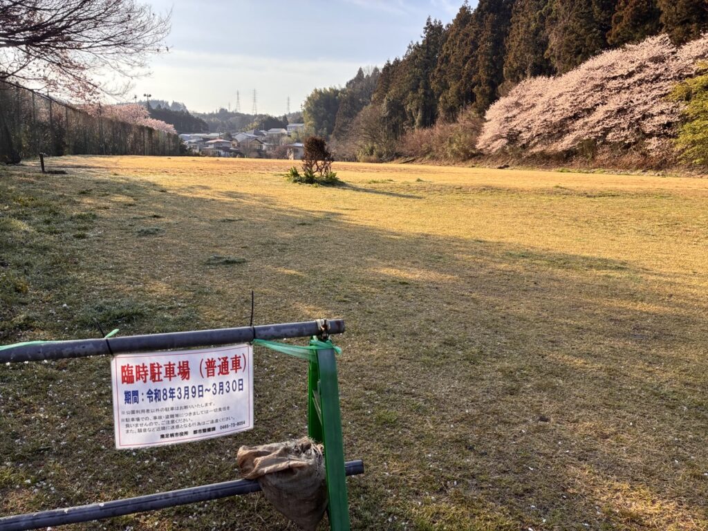 森と水の公園の自然豊かな風景と美しく咲く春めき桜