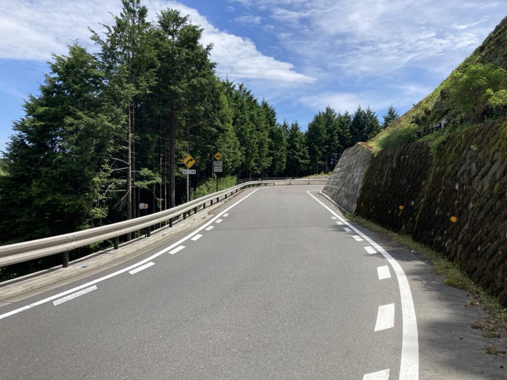 はこね金太郎ラインの山岳道路風景