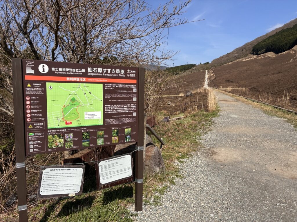 年明けの仙石原すすき草原と愛犬の散歩コース